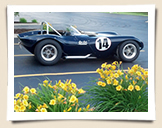 Bill Thomas Cheetah Continuation Collectible