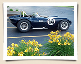 Bill Thomas Cheetah Continuation Collectible